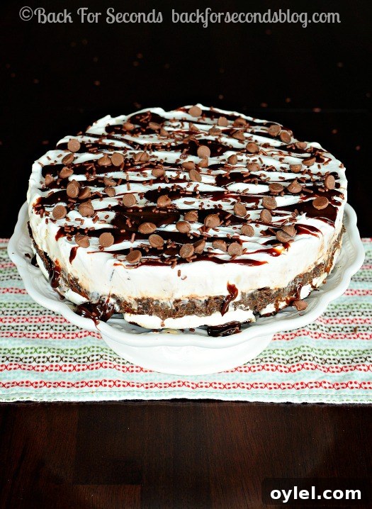 50 No-Bake Dessert Recipes 16 50 No Bake Treats: Homemade Oreo Fudge Cookie Dough Ice Cream Cake