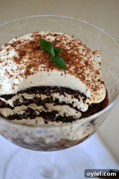 50 No-Bake Dessert Recipes 19 50 No Bake Treats: Icebox Tiramisu