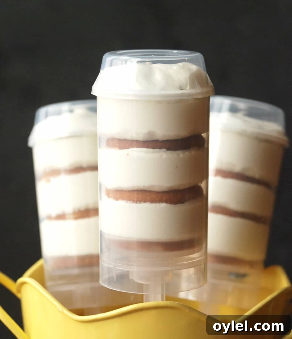 50 No-Bake Dessert Recipes 21 50 No Bake Treats: Lemon Cloud Push Pops