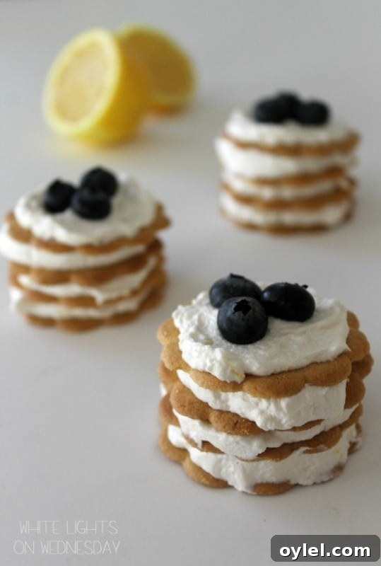 50 No-Bake Dessert Recipes 23 50 No Bake Treats: Lemon Icebox Cupcakes