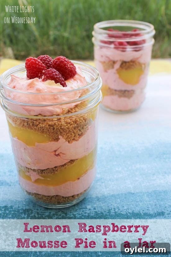 50 No-Bake Dessert Recipes 24 50 No Bake Treats: Lemon Raspberry Mousse Pie in a Jar