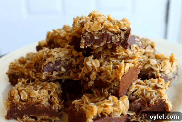 50 No-Bake Dessert Recipes 26 50 No Bake Treats: No Bake Chocolate Oat Bars