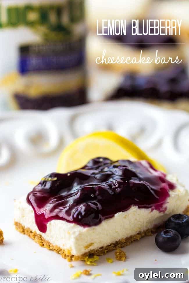 50 No-Bake Dessert Recipes 30 50 No Bake Treats: No Bake Lemon Blueberry Cheesecake Bars