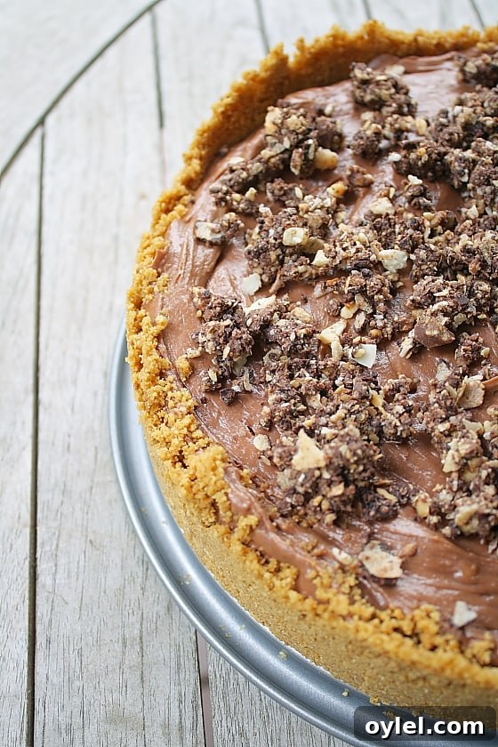 50 No-Bake Dessert Recipes 31 50 No Bake Treats: No Bake Nutella Cheesecake