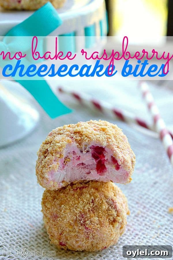 50 No-Bake Dessert Recipes 32 50 No Bake Treats: No Bake Raspberry Cheesecake Bites