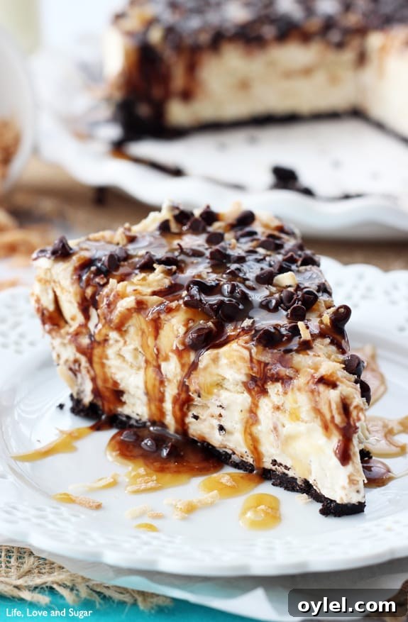 50 No-Bake Dessert Recipes 33 50 No Bake Treats: No Bake Samoa Cheesecake