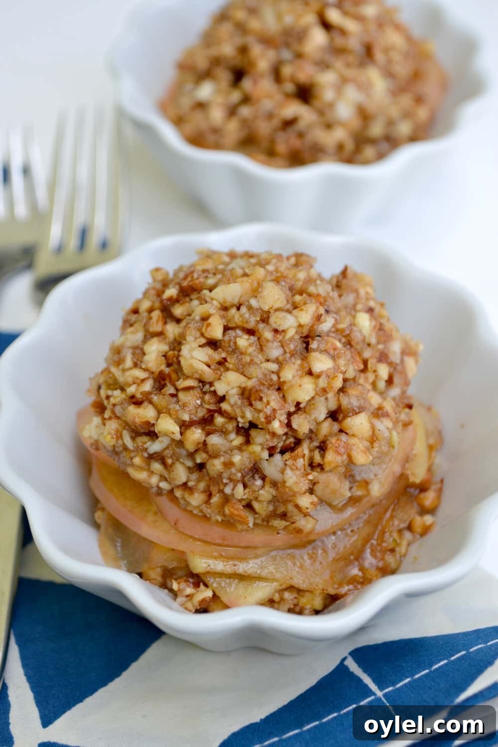 50 No-Bake Dessert Recipes 35 50 No Bake Treats: No-Bake Apple Cobbler