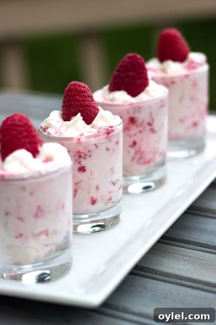 50 No-Bake Dessert Recipes 36 Raspberry Shooters