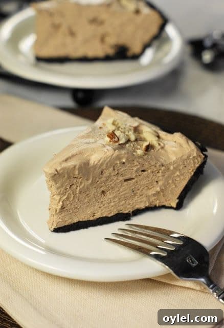 50 No-Bake Dessert Recipes 37 50 No Bake Treats: No-Bake Hershey's Chocolate Bar Pie