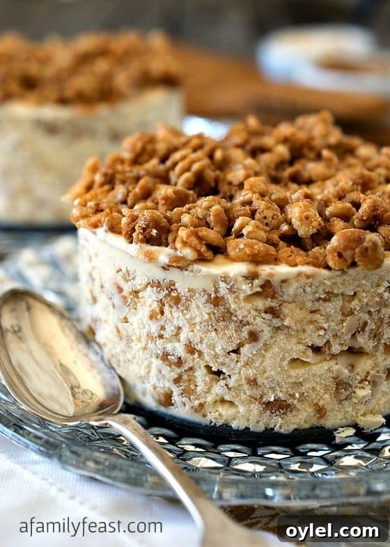50 No-Bake Dessert Recipes 5 50 No Bake Treats: Biscoff Crunch Ice Cream Cake