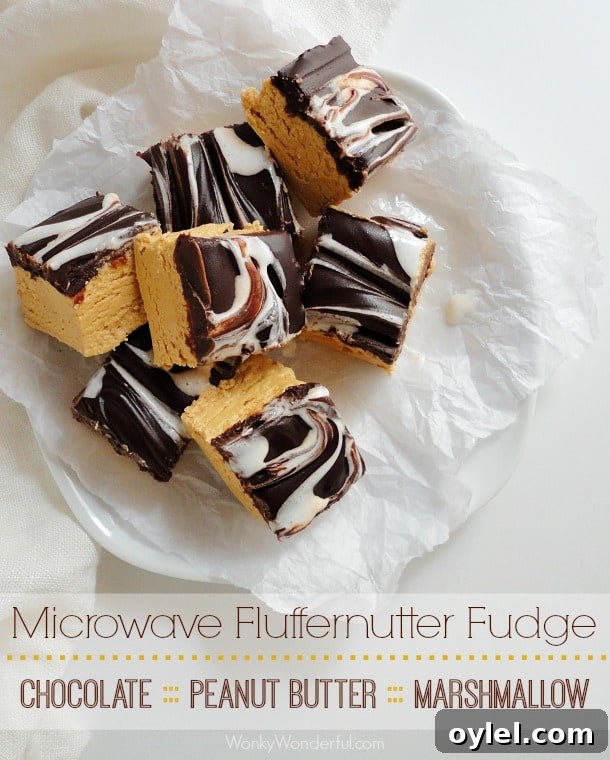 50 No-Bake Dessert Recipes 42 50 No Bake Treats: Peanut Butter Microwave Fudge