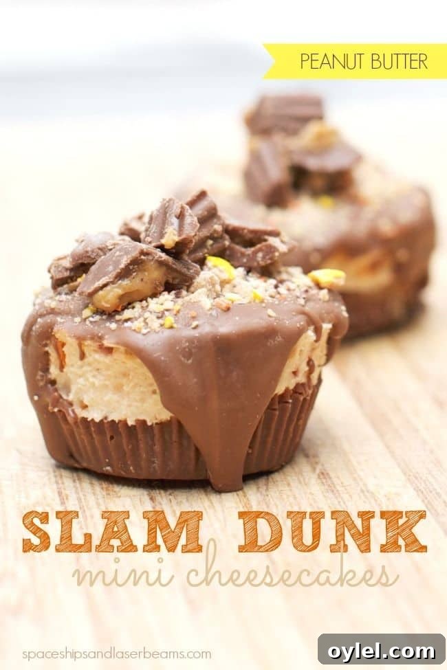 50 No-Bake Dessert Recipes 44 50 No Bake Treats: Reese's Slam Dunk No Bake Cheesecake