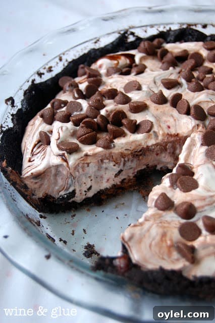 50 No-Bake Dessert Recipes 48 50 No Bake Treats: Triple Chocolate Raspberry Ice Cream Pie