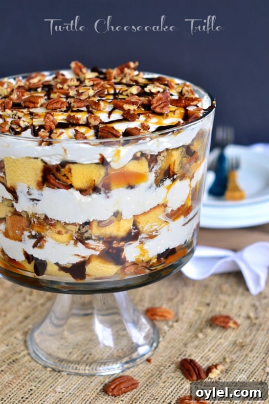 50 No-Bake Dessert Recipes 49 50 No Bake Treats: Turtle Cheesecake Trifle