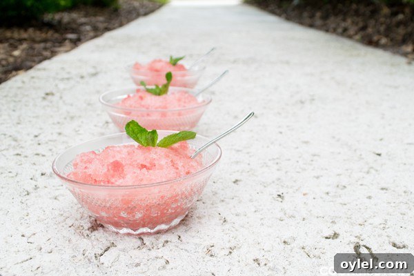 50 No-Bake Dessert Recipes 50 50 No Bake Treats: Watermelon & White Wine Granita