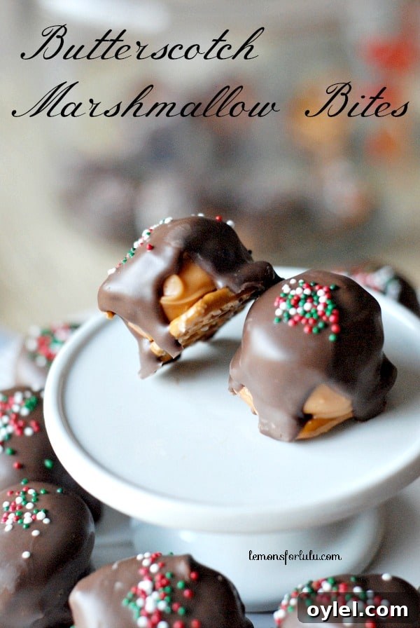 50 No-Bake Dessert Recipes 6 50 No Bake Treats: Butterscotch Marshmallow Bites