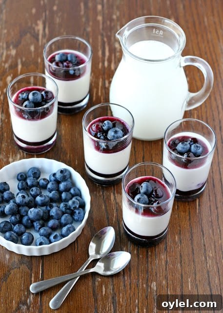 50 No-Bake Dessert Recipes 51 50 No Bake Treats: Yogurt Panna Cotta with Blueberry Sauce