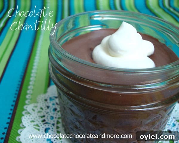 50 No-Bake Dessert Recipes 52 Chocolate Chantilly or the easiest, fastest Chocolate Mousse you've ever made and just 3 ingredients