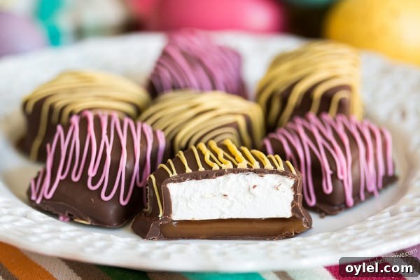 50 No-Bake Dessert Recipes 9 50 No Bake Treats: Chocolate Carmallow Squares