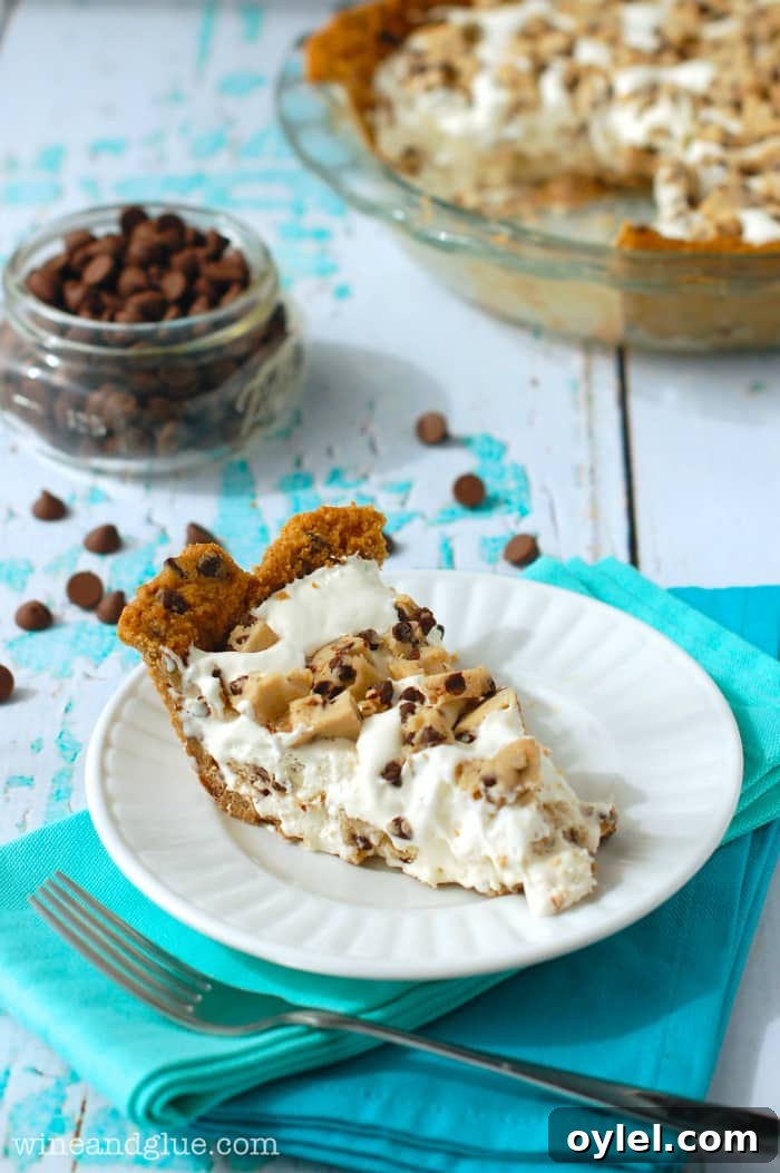 50 No-Bake Dessert Recipes 10 50 No Bake Treats: Chocolate Chip Cookie Crusted Cookie Dough Ice Cream Pie