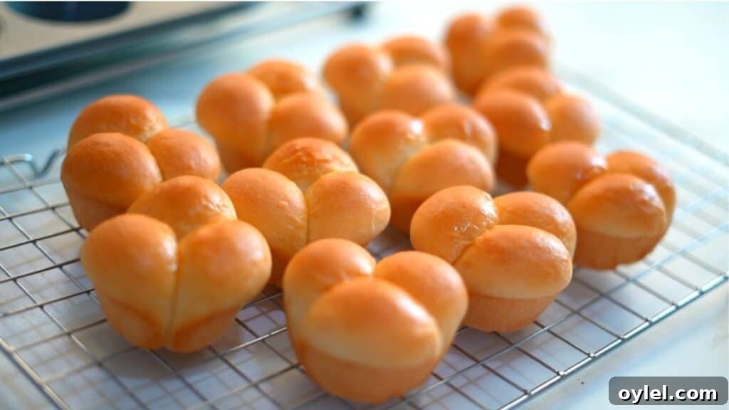 cloverleaf dinner rolls