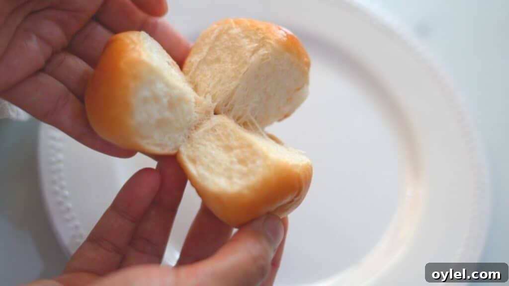 old fashioned yeast rolls