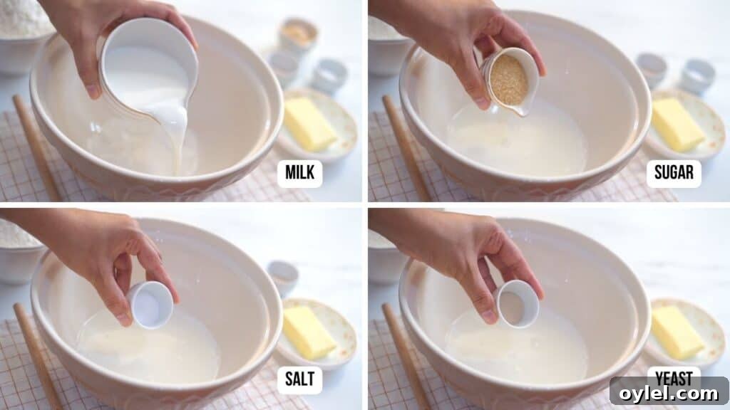 how to make cloverleaf rolls