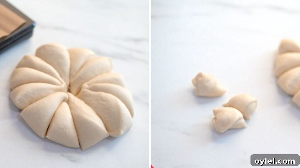 clover rolls