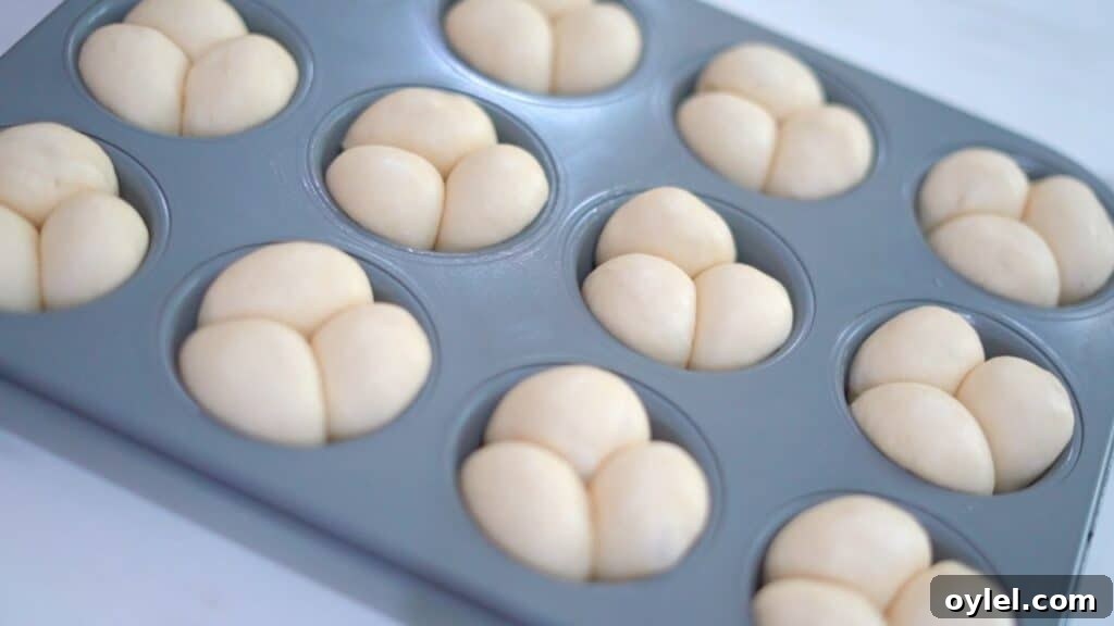 cloverleaf yeast rolls
