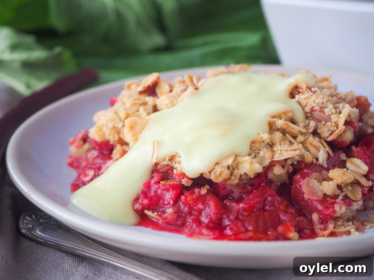Classic Rhubarb Crumble Recipe 11 Rhubarb crumble with custard.