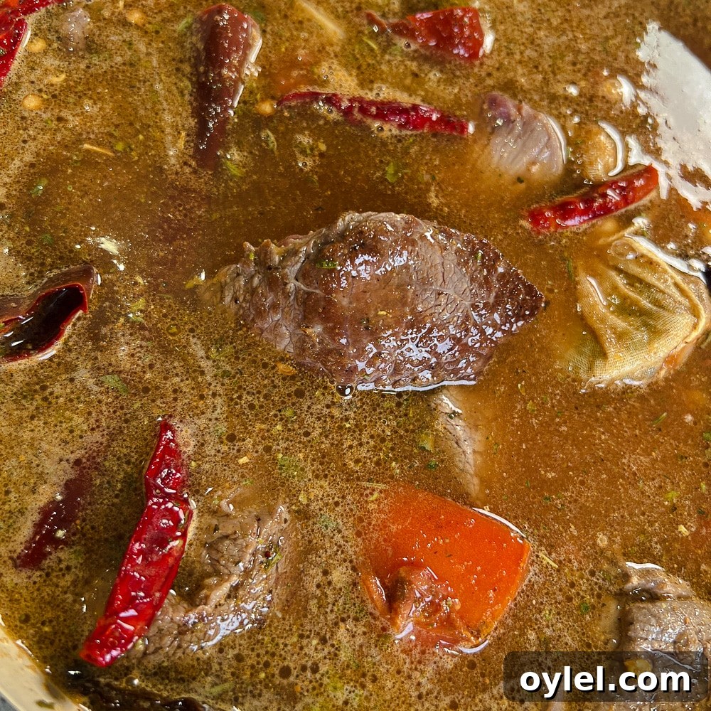 Homemade Birria Ramen Recipe: Spicy Beef Broth with Noodles 3 Bowl of Birria Ramen with toppings