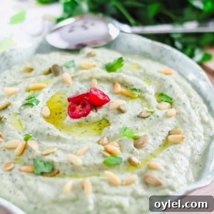 A bowl of eggplant dip garnished with olive oil, sliced red chili, pine nuts, pumpkin seeds, and fresh parsley.