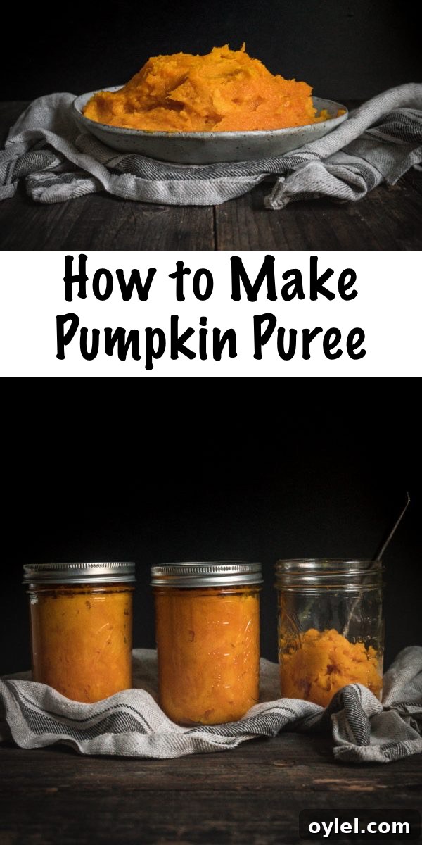 How to Make Pumpkin Puree ~ Skip the grocery-store can and instead make your own homemade pumpkin puree. Perfect for all your fall baking projects or preserving your pumpkin harvest.