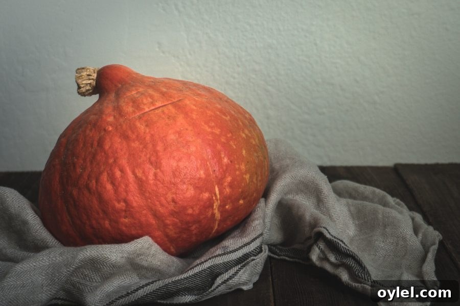 red kuri squash for pumpkin puree