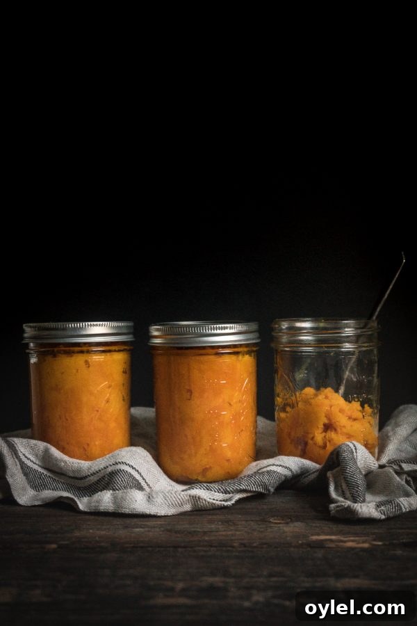 Making Homemade Pumpkin Puree ~ How to make pumpkin puree at home with any winter squash
