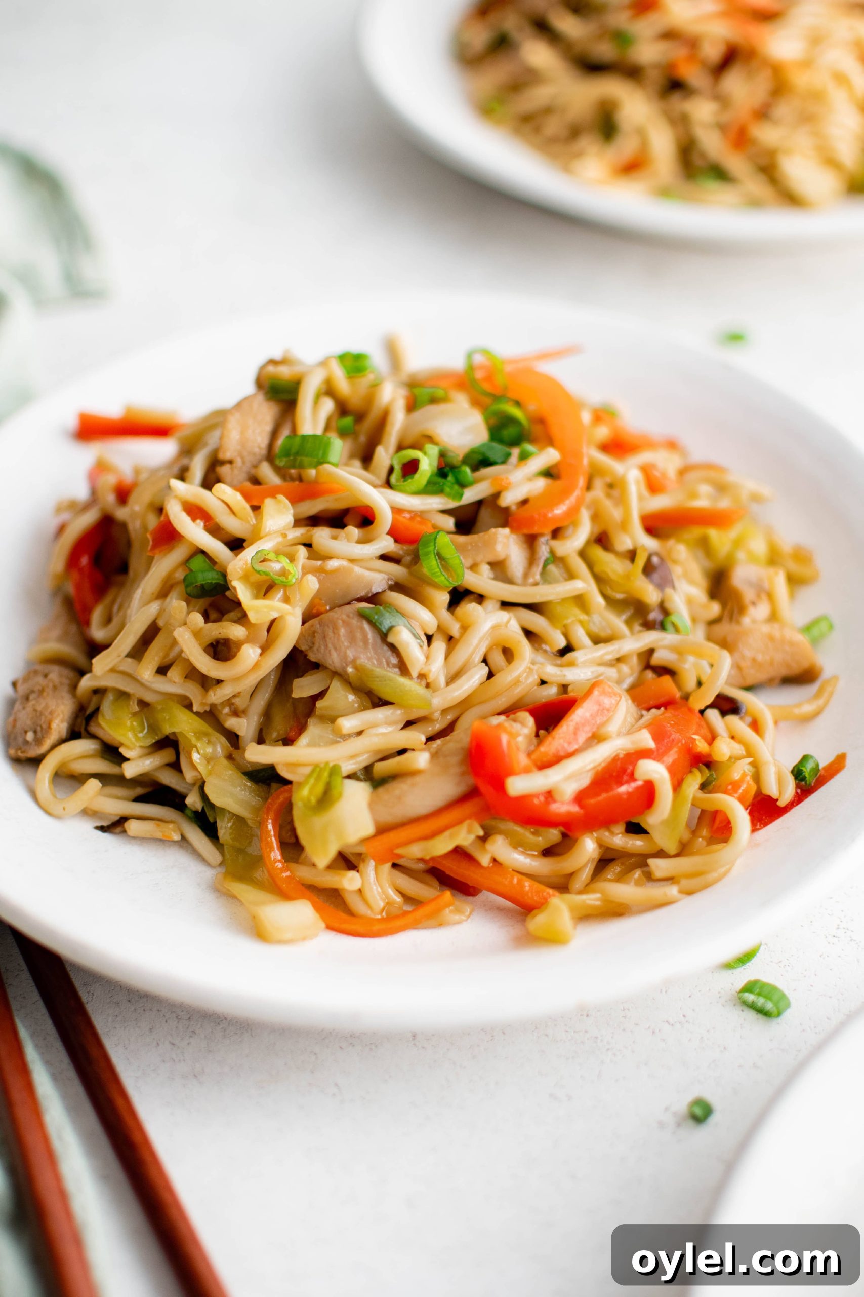White plate filled with yakisoba noodles filled with vegetables and chicken.