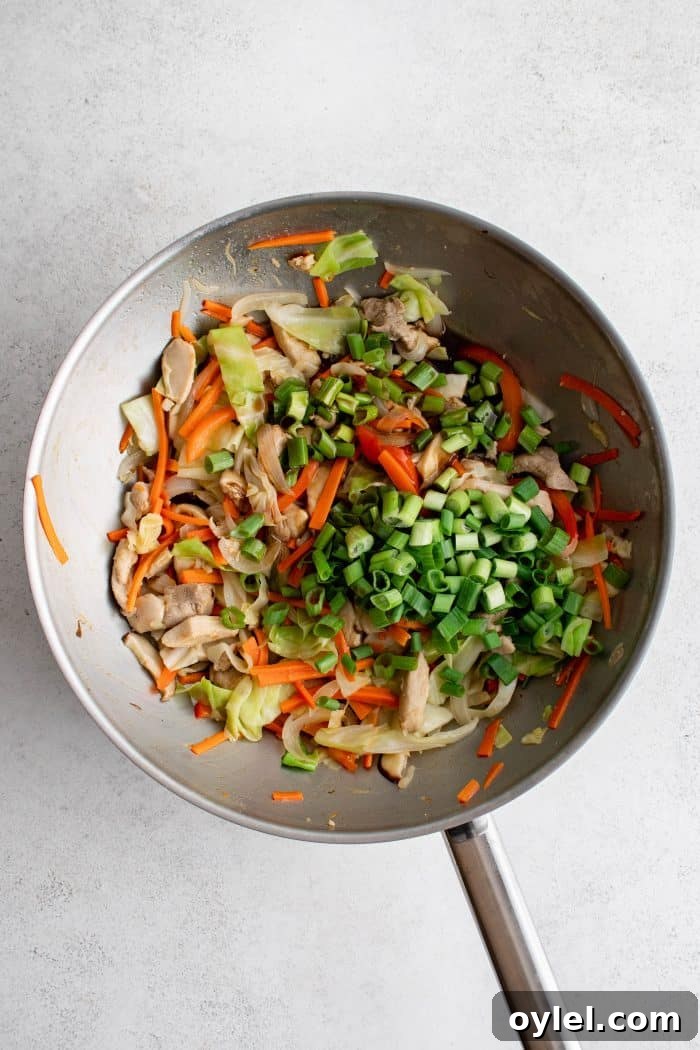 Stir frying chicken, shredded carrots, bell pepper, onions, mushrooms, cabbage, and green onions in a large wok.