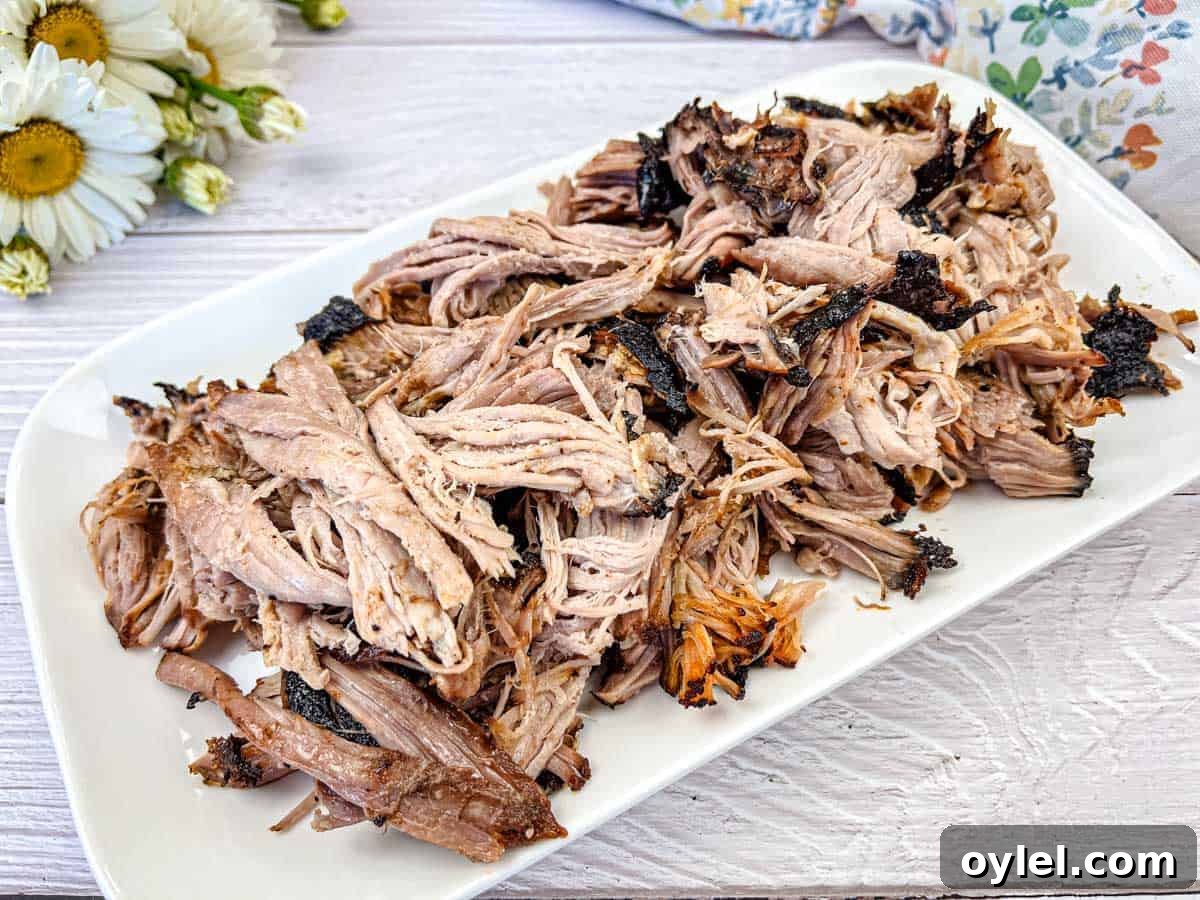 Shredded Ninja Woodfire Outdoor Grill Smoked Pulled Pork on a white plate.