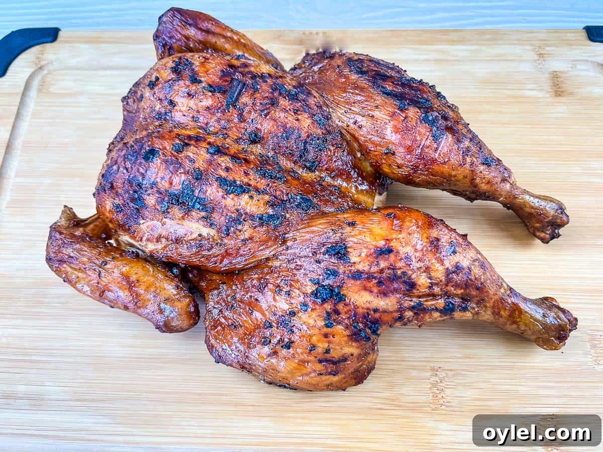 Smoked whole chicken on Ninja Woodfire Grill.