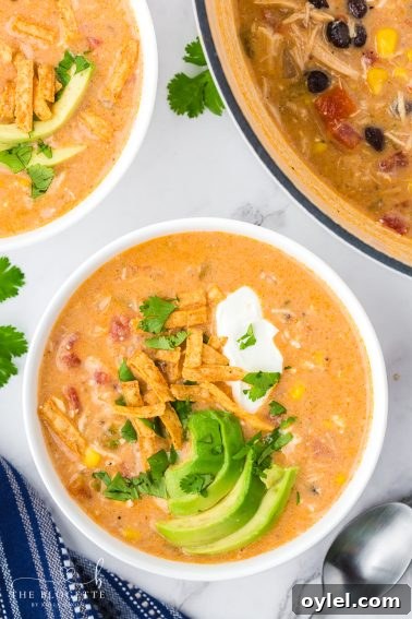 Creamy Roasted Tomato Bisque Recipe 14 This Chicken Enchilada Soup is thick, creamy, cheesy, and ready to go in just 20 minutes! It can be made on the stove top or crock-pot. EASY!