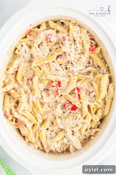 Creamy Roasted Tomato Bisque Recipe 15 The BEST Crock Pot Creamy Ranch Chicken recipe is made with all the ingredients and flavors you love with the ease and simplicity of a slow cooker! A seriously addicting, creamy, comfort food ranch chicken recipe