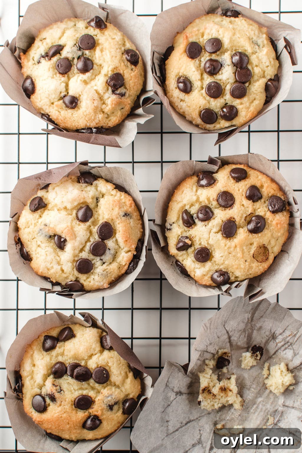 Bakery-style low-carb chocolate chip muffins resting on a cooling grid.