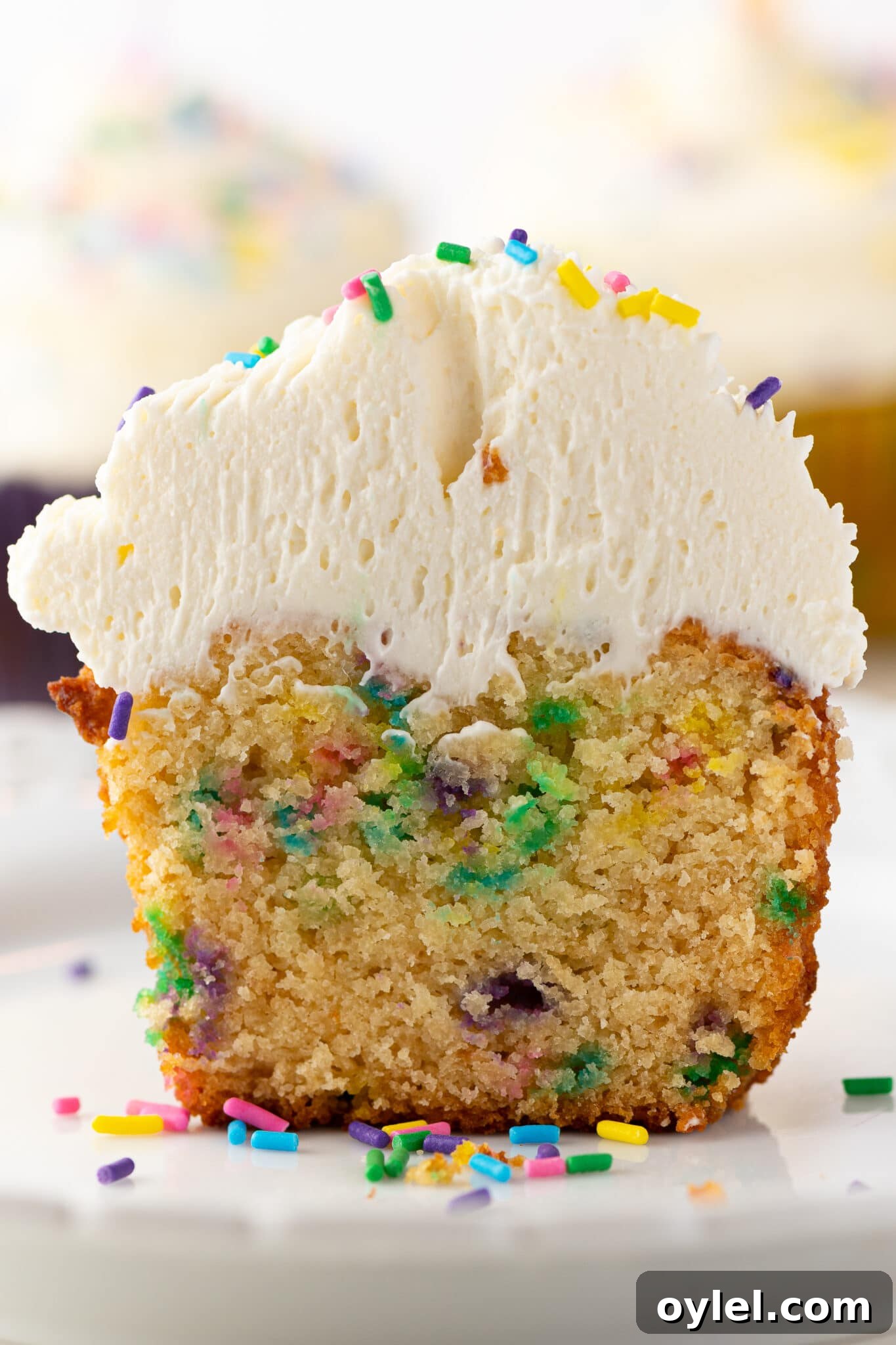 Low-carb cupcakes with sprinkles and frosting piled high.