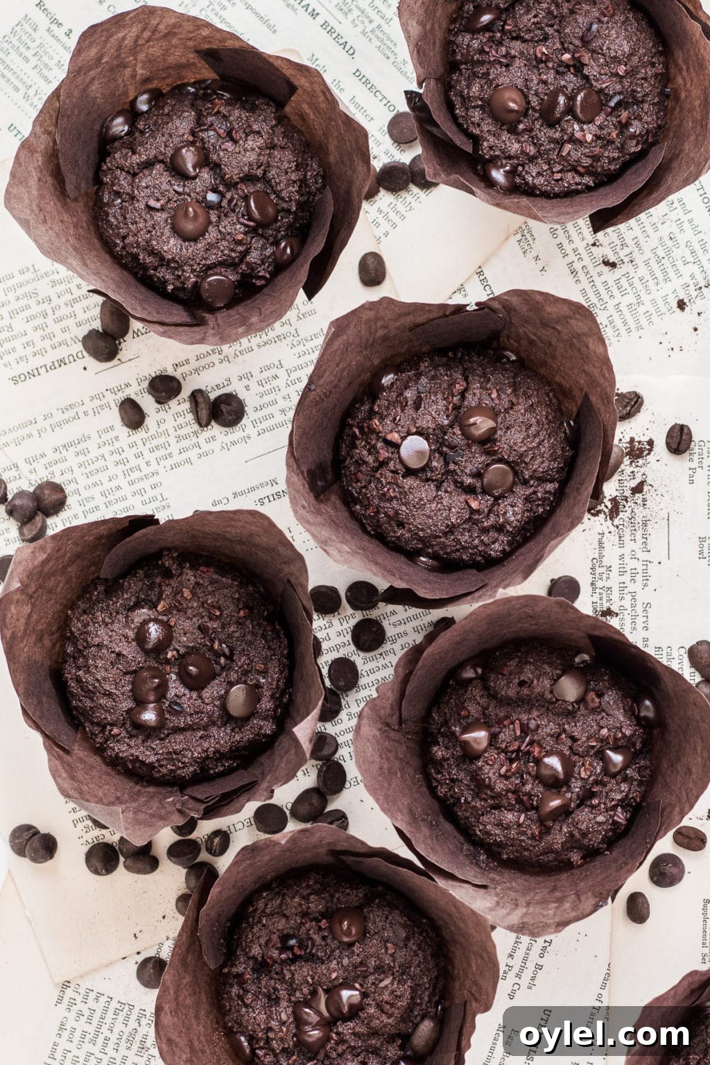 Keto chocolate espresso muffins with rich cocoa flavor.