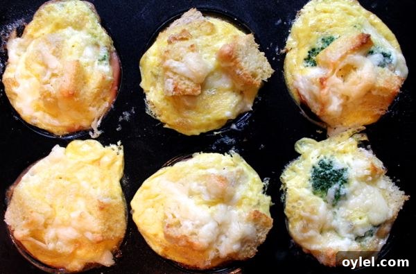 Broccoli Cheddar Strata Cups IMG_1217