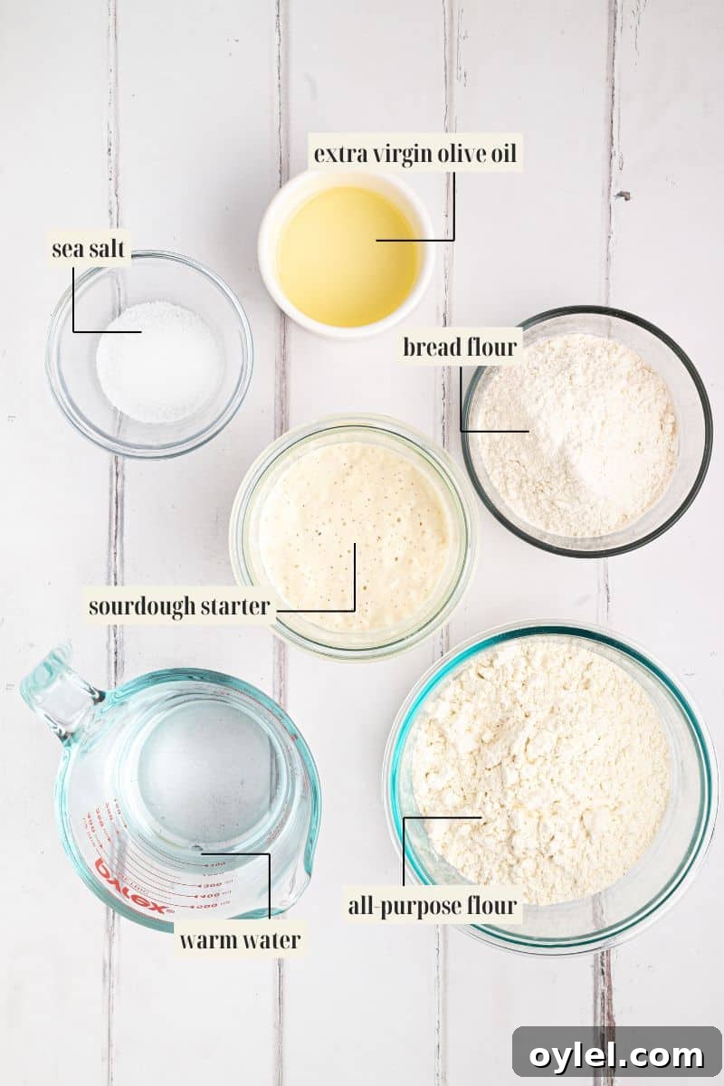 Sourdough Focaccia Recipe: Crispy Crust, Airy Interior 4 Labeled ingredient image for focaccia recipe.