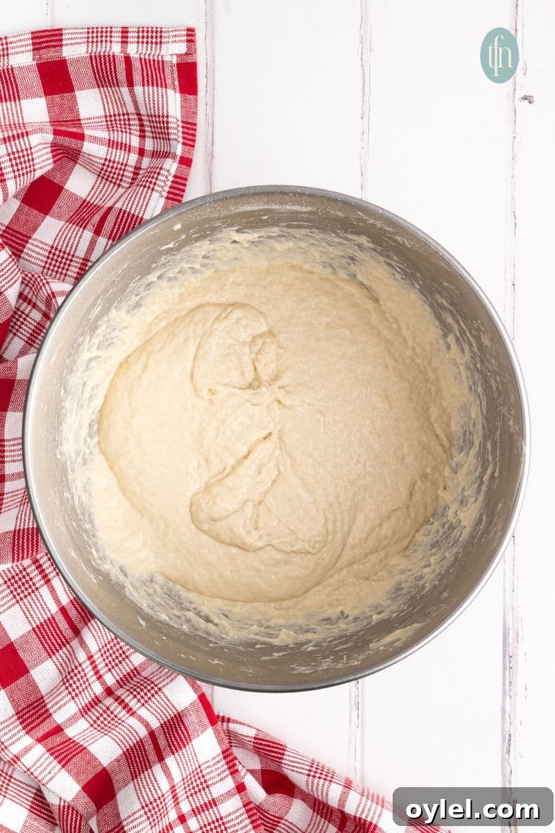 Sourdough Focaccia Recipe: Crispy Crust, Airy Interior 6 A dough mixture in a bowl.