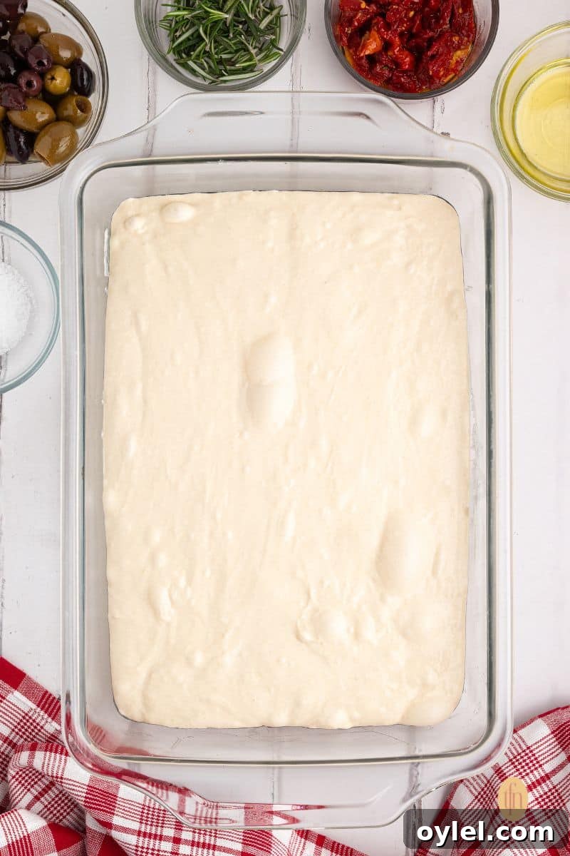 Sourdough Focaccia Recipe: Crispy Crust, Airy Interior 7 A dough mixture in a glass baking pan.