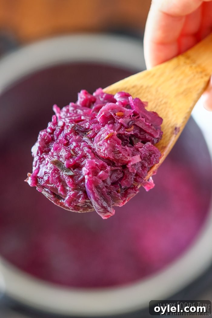 Tender Braised Red Cabbage in the Instant Pot 2 Wooden spoon of homemade braised red cabbage made in pressure cooker.