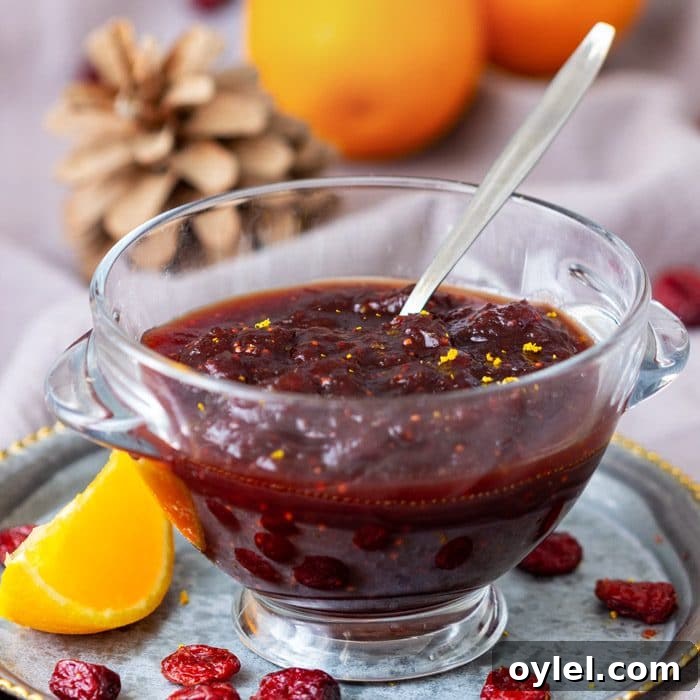 Tender Braised Red Cabbage in the Instant Pot 11 Homemade Instant Pot Cranberry Sauce